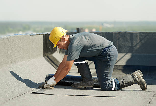 Best Home Insulation Services  in Northampton, PA