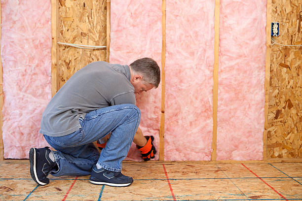 Best Energy-efficient Insulation  in Northampton, PA