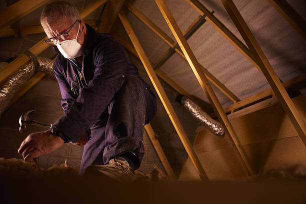 Best Insulation Inspection Services  in Northampton, PA