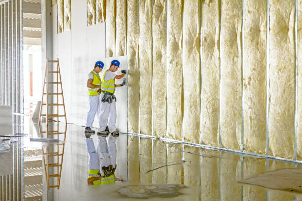 Best Insulation Contractors for Homes  in Northampton, PA
